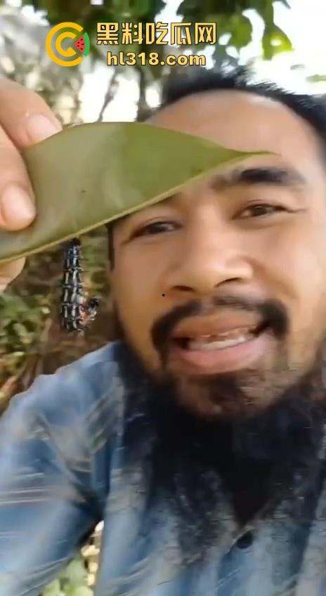 不是哥们毛毛虫也能吃的吗？这东西不是有毒！身体碰一下都全身红，你这舌头没事吧！-2